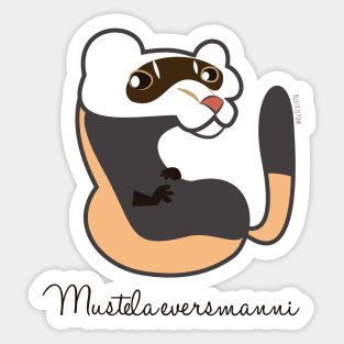 Steppe polecat Mustela eversmanni Sticker